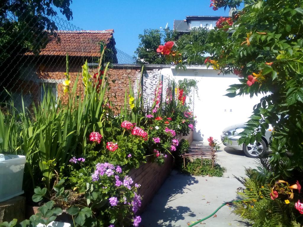 Aleks Guest House Σάμοκοβ Εξωτερικό φωτογραφία