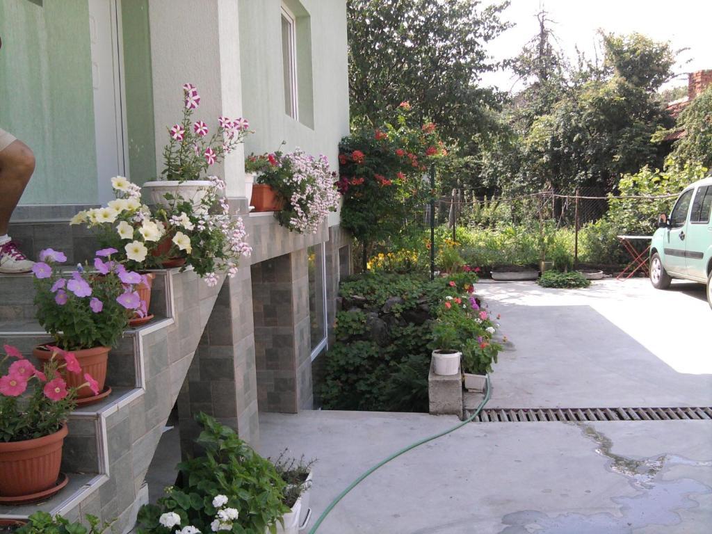 Aleks Guest House Σάμοκοβ Εξωτερικό φωτογραφία